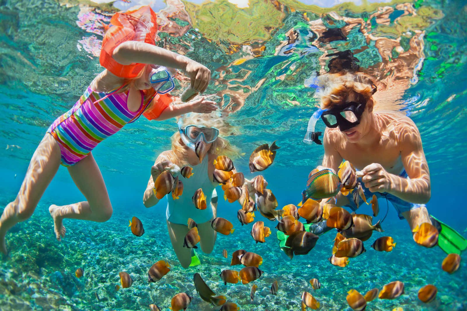 Snorkeling with Turtles at Green Cay & Fish at Rainbow Reef - 2 Hours Group Tour